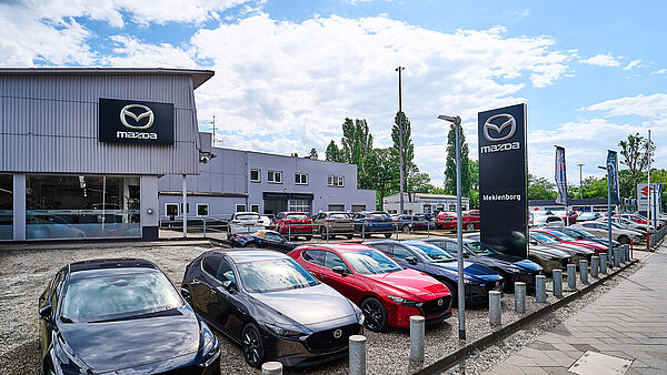 Autohaus Meklenborg Vertriebs Gmbh